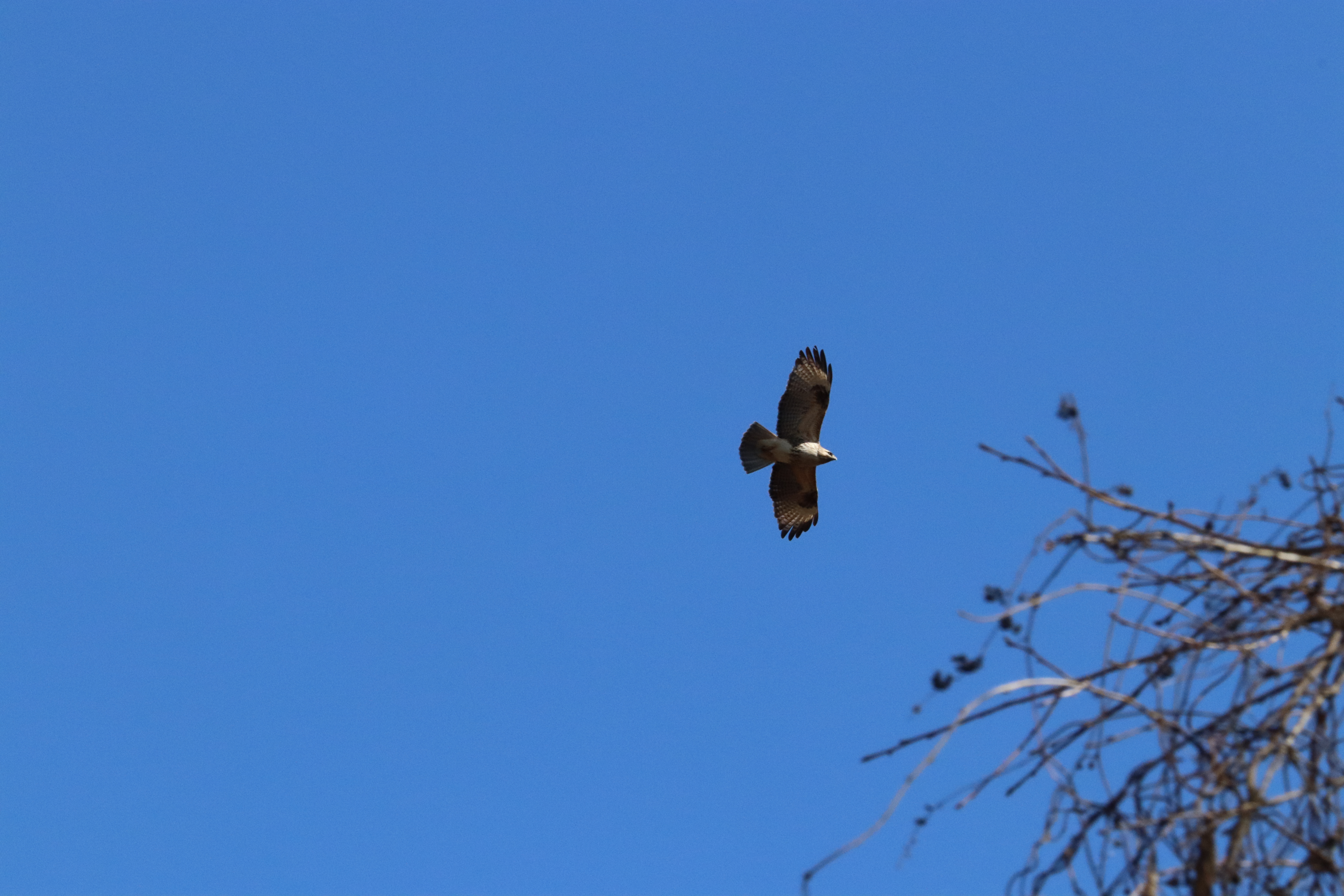 豊かな里山の風景